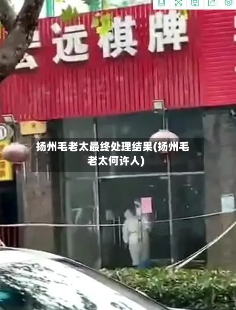 扬州毛老太最终处理结果(扬州毛老太何许人)