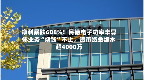 净利暴跌608%！民德电子功率半导体业务“烧钱	”不止，货币资金缩水超4000万-第2张图片