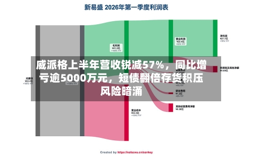 威派格上半年营收锐减57%，同比增亏逾5000万元，短债翻倍存货积压风险暗涌-第2张图片