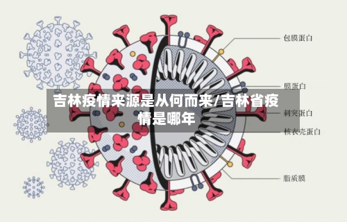 吉林疫情来源是从何而来/吉林省疫情是哪年-第2张图片