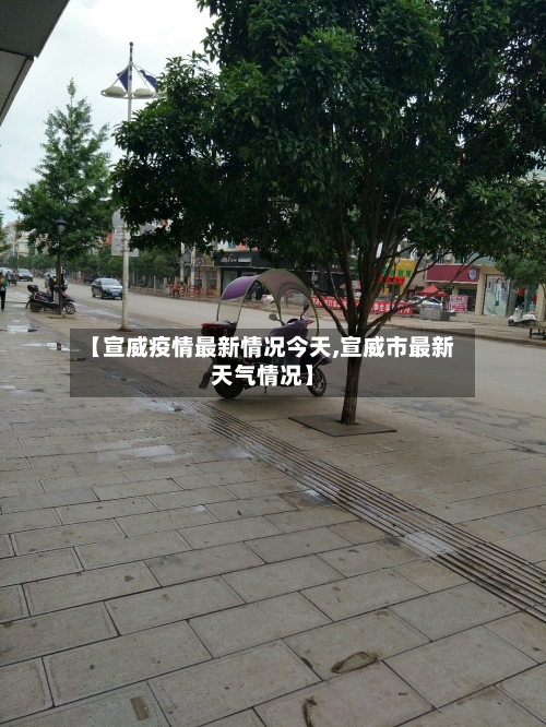 【宣威疫情最新情况今天,宣威市最新天气情况】-第3张图片