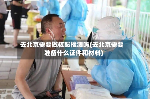 去北京需要做核酸检测吗(去北京需要准备什么证件和材料)
