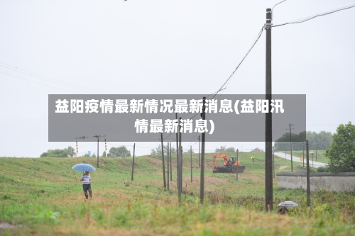 益阳疫情最新情况最新消息(益阳汛情最新消息)-第2张图片