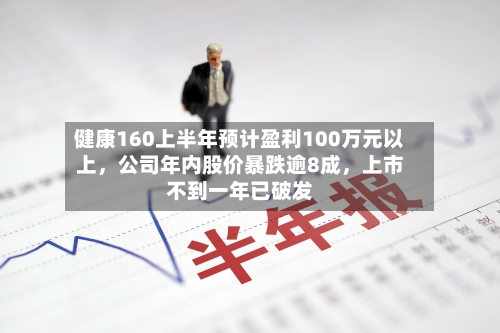 健康160上半年预计盈利100万元以上，公司年内股价暴跌逾8成	，上市不到一年已破发-第2张图片