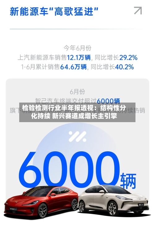 检验检测行业半年报透视：结构性分化持续 新兴赛道成增长主引擎-第3张图片