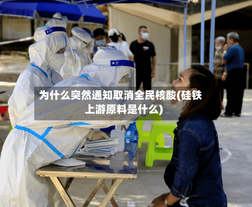 为什么突然通知取消全民核酸(硅铁上游原料是什么)-第2张图片