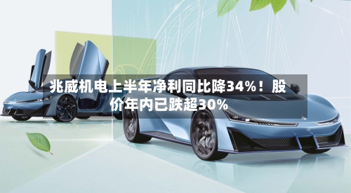 兆威机电上半年净利同比降34%！股价年内已跌超30%