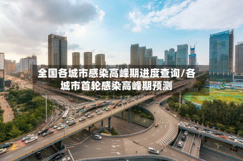 全国各城市感染高峰期进度查询/各城市首轮感染高峰期预测-第2张图片