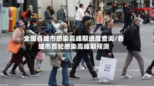 全国各城市感染高峰期进度查询/各城市首轮感染高峰期预测