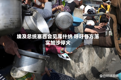 埃及总统塞西会见库什纳 呼吁各方落实加沙停火-第2张图片
