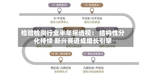 检验检测行业半年报透视： 结构性分化持续 新兴赛道成增长引擎