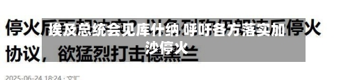 埃及总统会见库什纳 呼吁各方落实加沙停火