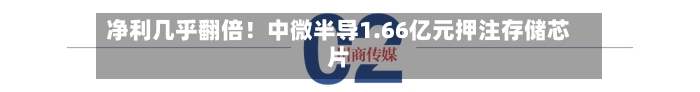 净利几乎翻倍！中微半导1.66亿元押注存储芯片