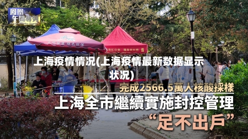 上海疫情情况(上海疫情最新数据显示状况)-第2张图片