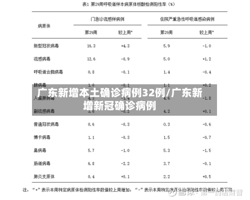 广东新增本土确诊病例32例/广东新增新冠确诊病例