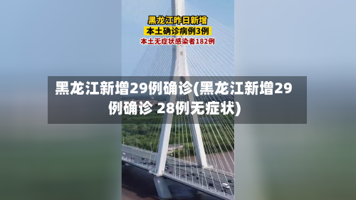 黑龙江新增29例确诊(黑龙江新增29例确诊 28例无症状)-第2张图片
