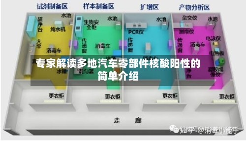 专家解读多地汽车零部件核酸阳性的简单介绍