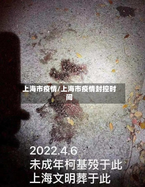 上海市疫情/上海市疫情封控时间-第2张图片