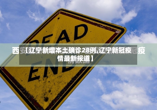 【辽宁新增本土确诊28例,辽宁新冠疫情最新报道】-第3张图片