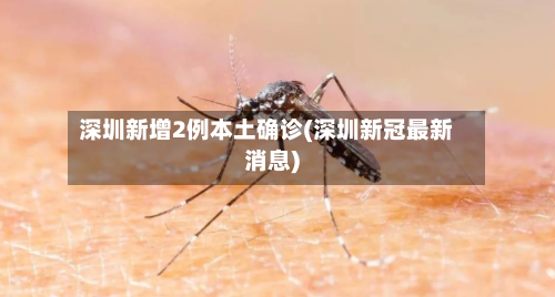 深圳新增2例本土确诊(深圳新冠最新消息)