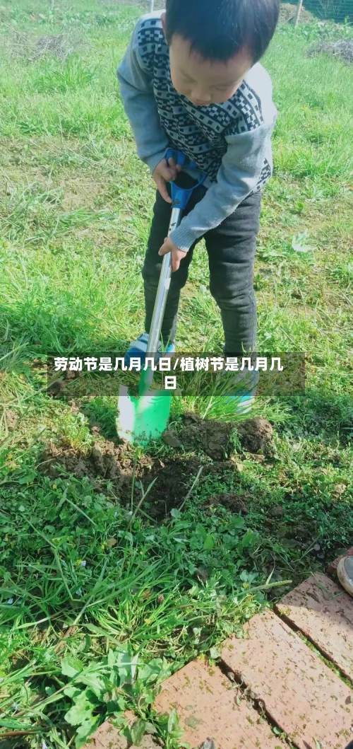劳动节是几月几日/植树节是几月几日-第2张图片