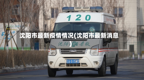 沈阳市最新疫情情况(沈阳市最新消息)