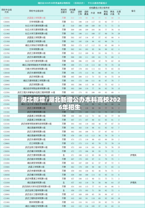 湖北新增/湖北新增公办本科高校2026年招生