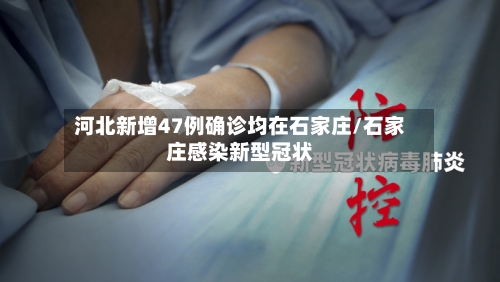 河北新增47例确诊均在石家庄/石家庄感染新型冠状-第2张图片