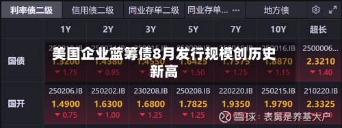 美国企业蓝筹债8月发行规模创历史新高