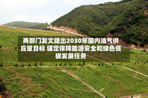 两部门发文提出2030年国内油气供应量目标 锚定保障能源安全和绿色低碳发展任务