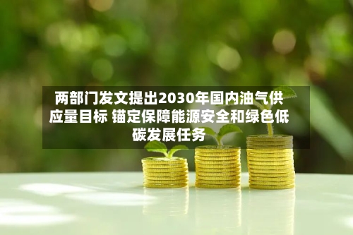两部门发文提出2030年国内油气供应量目标 锚定保障能源安全和绿色低碳发展任务-第3张图片