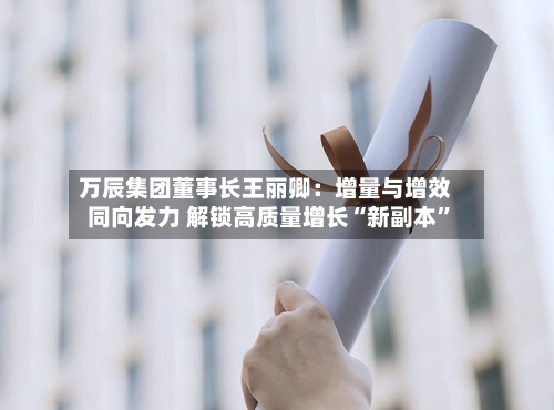 万辰集团董事长王丽卿：增量与增效同向发力 解锁高质量增长“新副本”-第2张图片