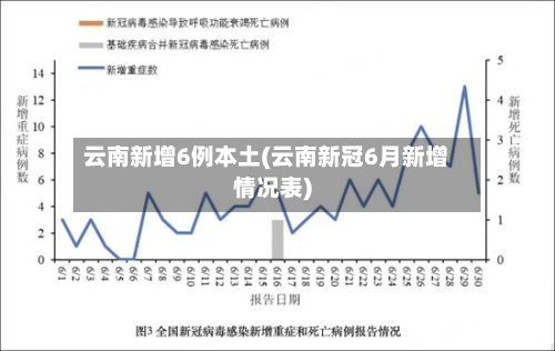 云南新增6例本土(云南新冠6月新增情况表)-第2张图片