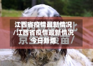 江西省疫情最新情况/江西省疫情最新情况今日新增