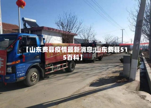 【山东费县疫情最新消息,山东费县515百科】-第3张图片