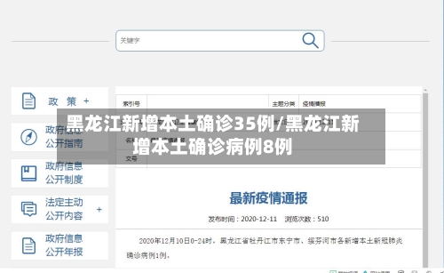 黑龙江新增本土确诊35例/黑龙江新增本土确诊病例8例-第2张图片