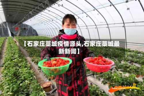 【石家庄藁城疫情源头,石家庄藁城最新新闻】-第3张图片