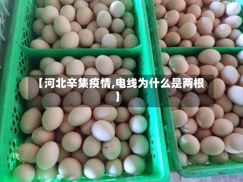 【河北辛集疫情,电线为什么是两根】-第2张图片