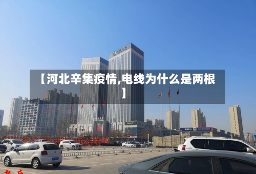【河北辛集疫情,电线为什么是两根】