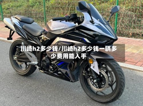川崎h2多少钱/川崎h2多少钱一辆多少费用能入手-第3张图片