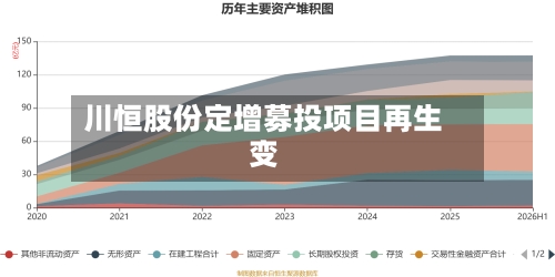 川恒股份定增募投项目再生变-第2张图片