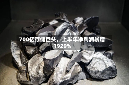 700亿存储巨头，上半年净利润暴增1929%-第2张图片