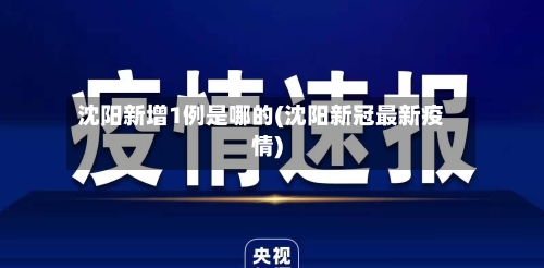 沈阳新增1例是哪的(沈阳新冠最新疫情)-第3张图片