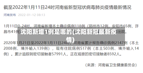 沈阳新增1例是哪的(沈阳新冠最新疫情)