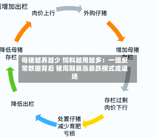母猪越养越少 饲料越用越多：一组反常数据背后 猪周期暴涨暴跌模式或退场