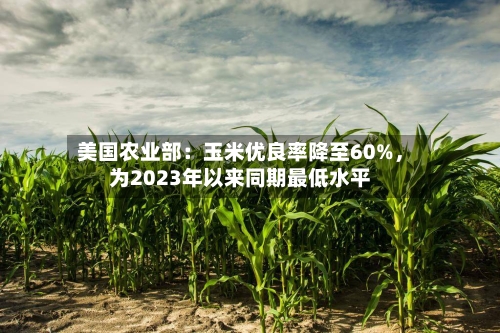 美国农业部：玉米优良率降至60%，为2023年以来同期最低水平