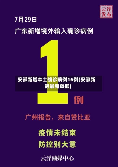 安徽新增本土确诊病例16例(安徽新冠最新数据)-第3张图片
