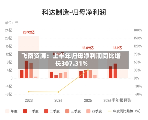 飞南资源：上半年归母净利润同比增长307.31%