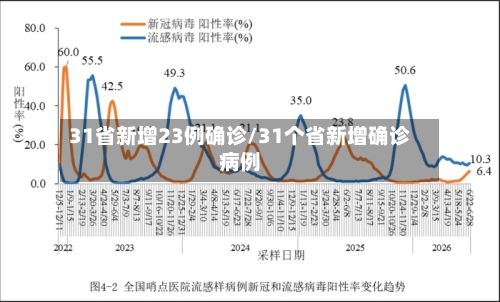 31省新增23例确诊/31个省新增确诊病例-第2张图片