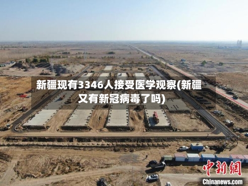 新疆现有3346人接受医学观察(新疆又有新冠病毒了吗)-第2张图片